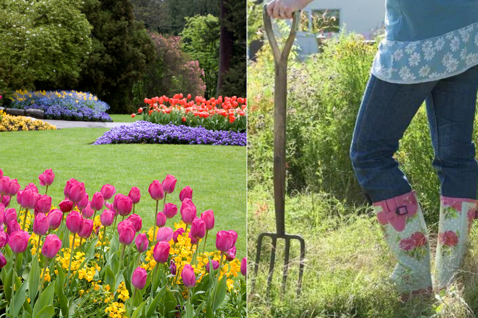 Flowers in a garden / woman holding shovel