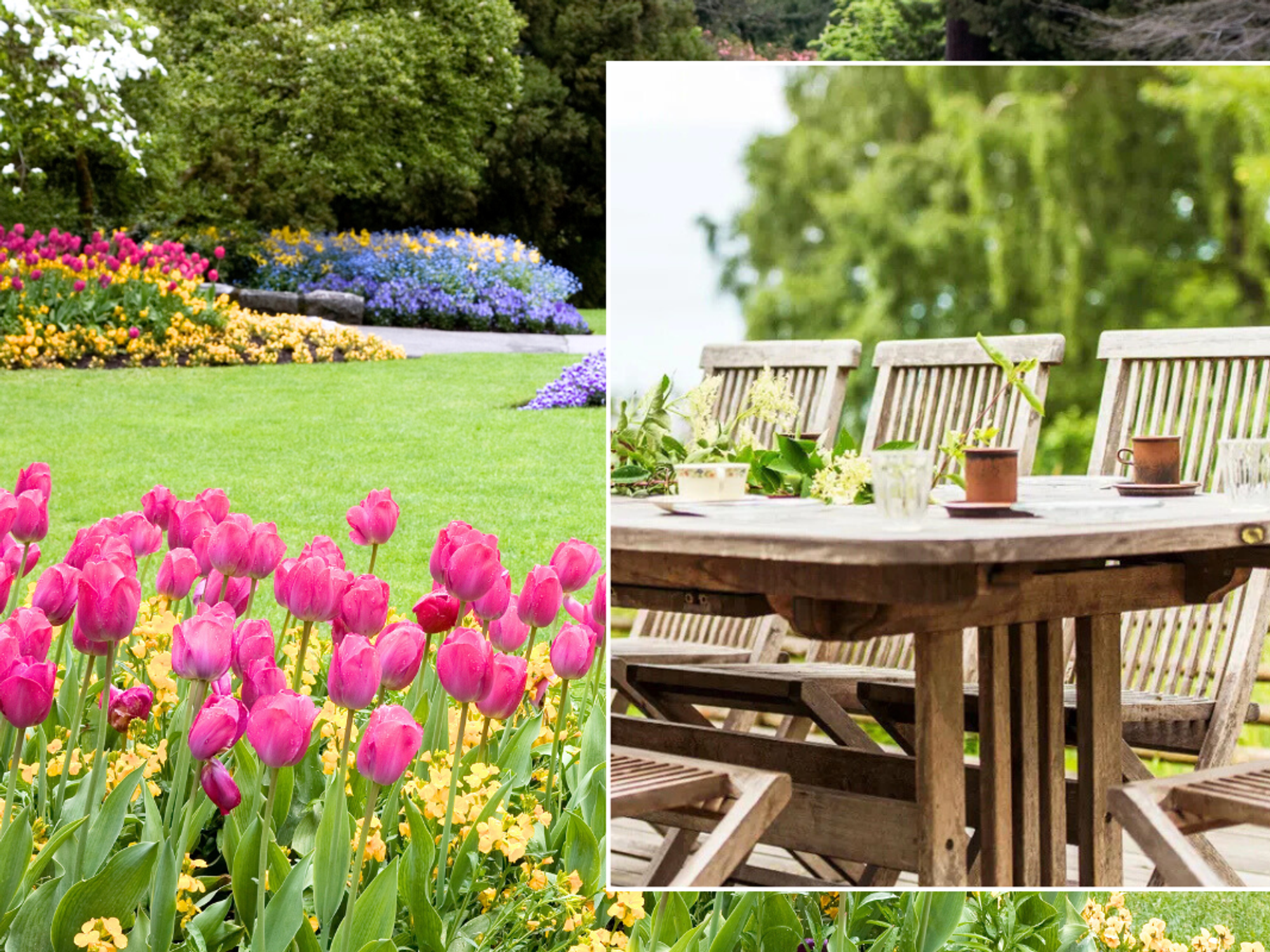 flowers in garden / Wooden garden table and chairs, surrounded by greenery