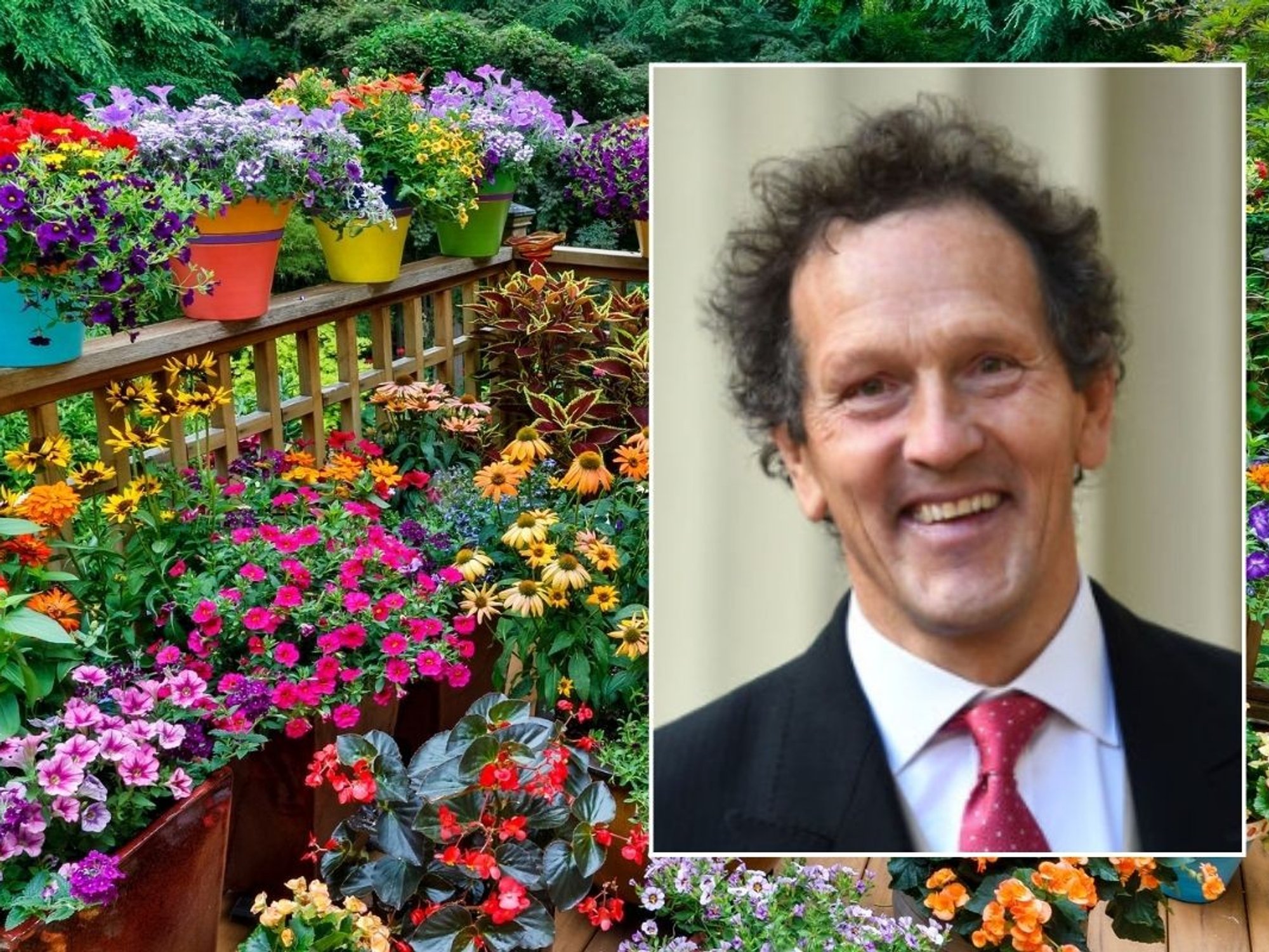 Flowers in pots / Monty Don