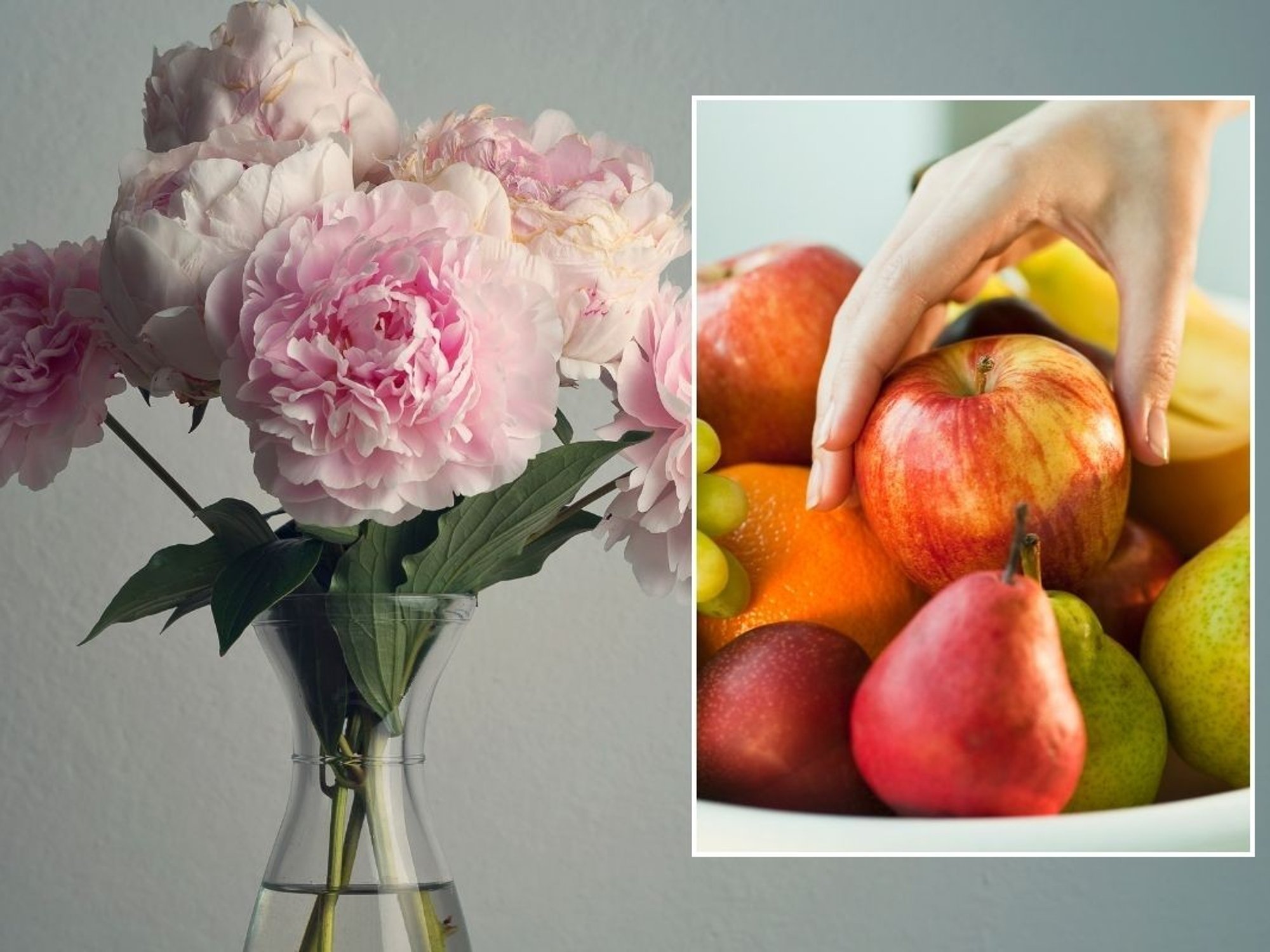 Flowers wilting