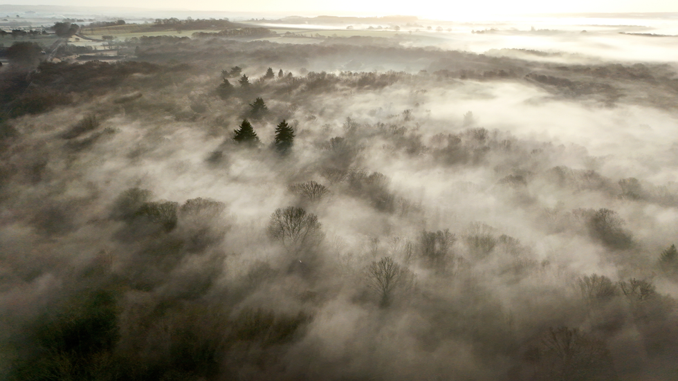 Fog February 5, 2025