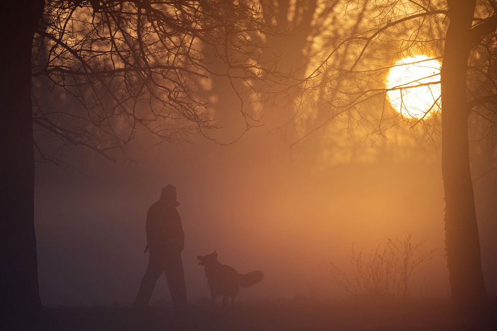 Fog