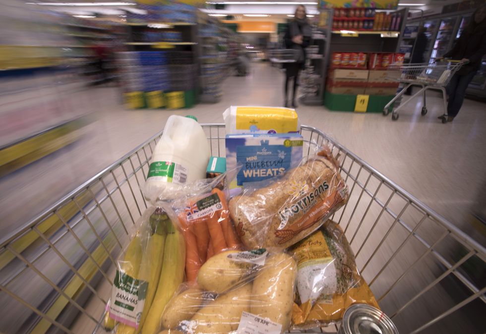 Food basket