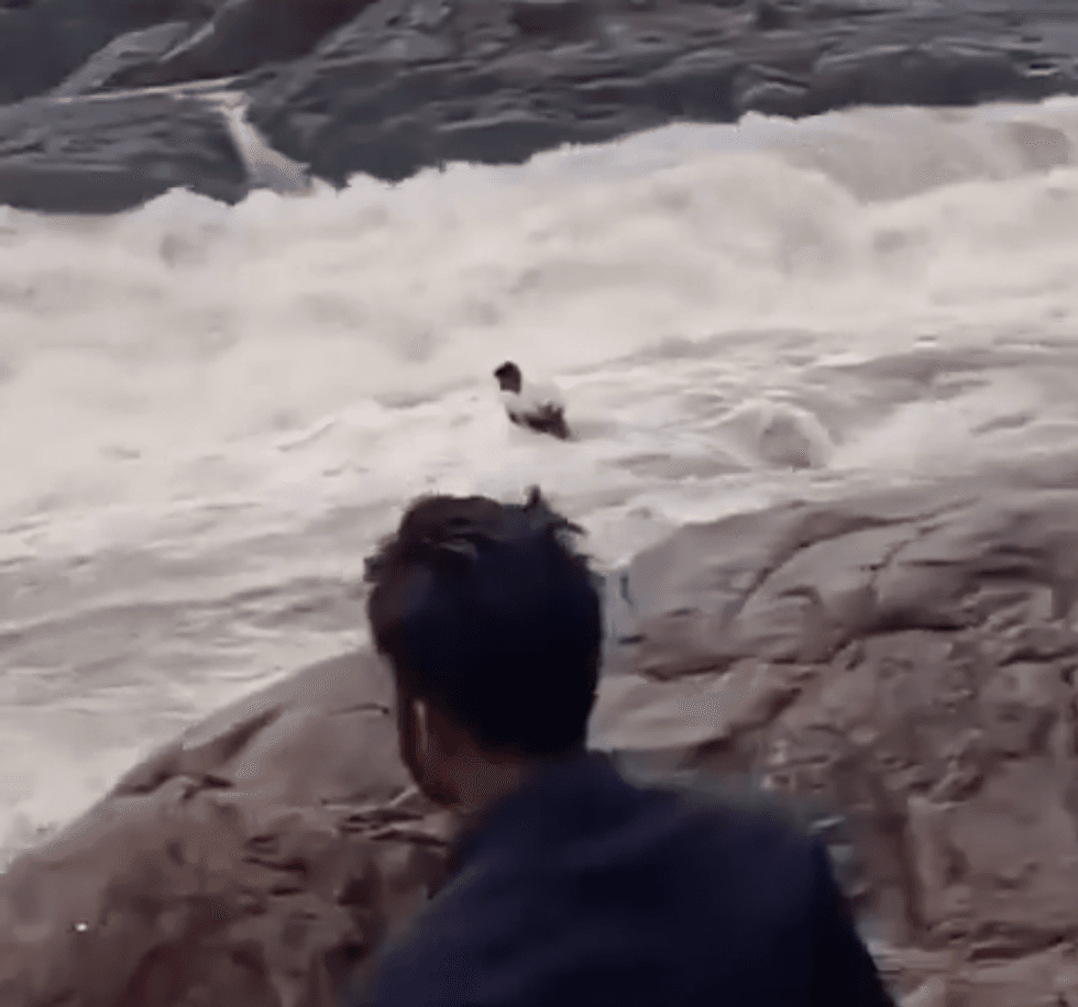 Footage of the incident