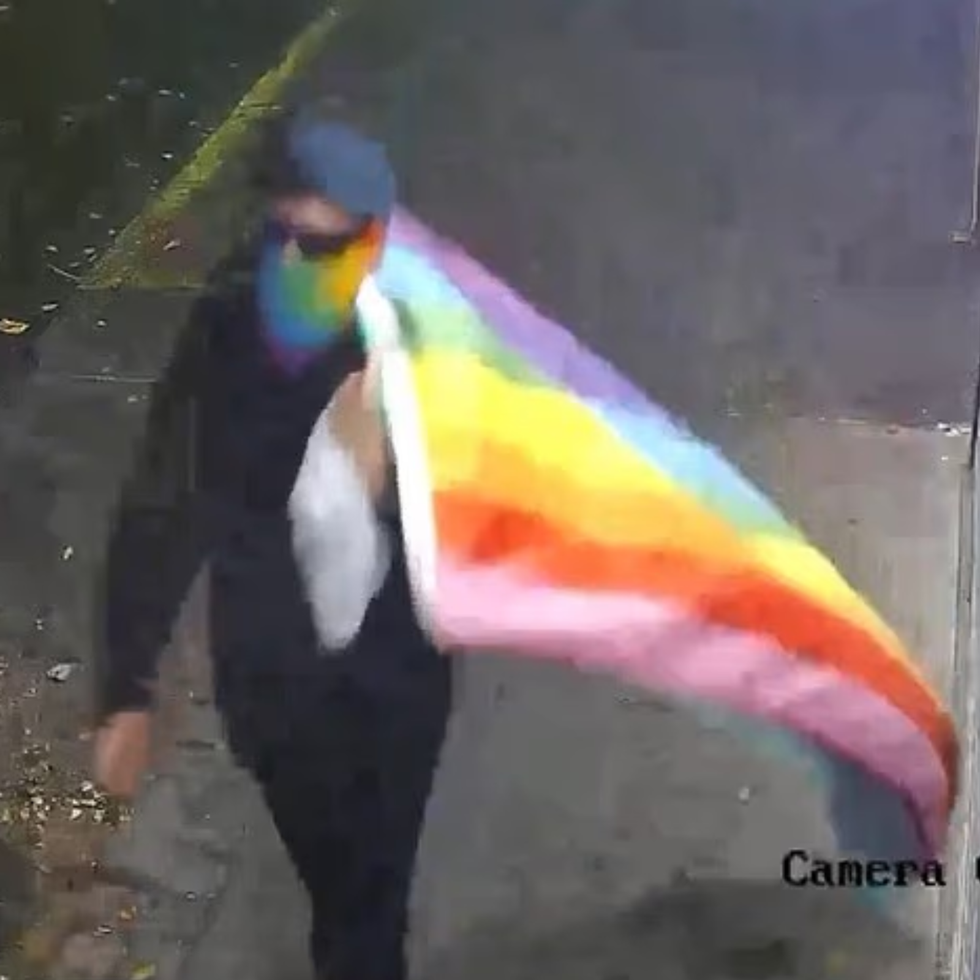 Footage of the vandal