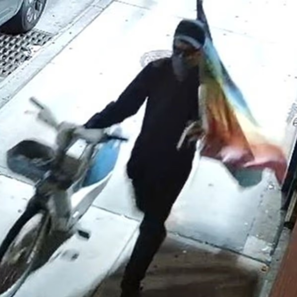 Footage of the vandal