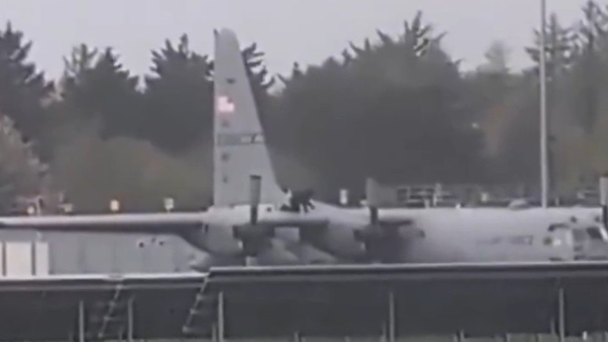 Footage online shows a man attacking the aircraft with a tool