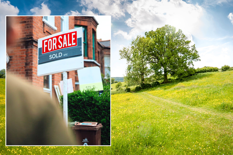 For sale sign / countryside