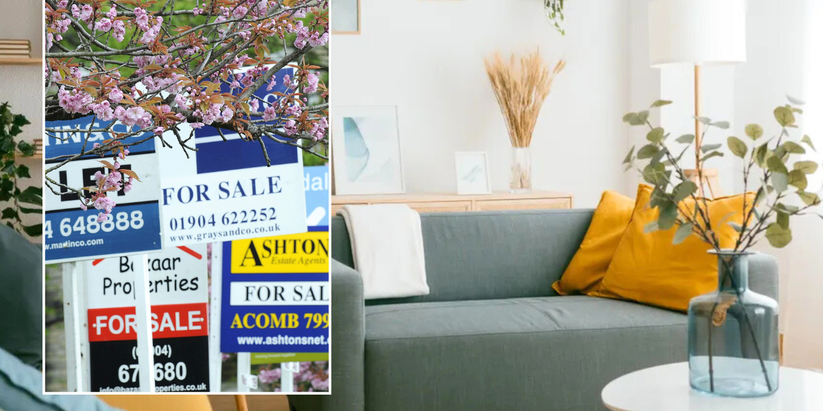 NextImg:Boost home value: Completing a free task before viewings could 'boost your property value by £45,000'
