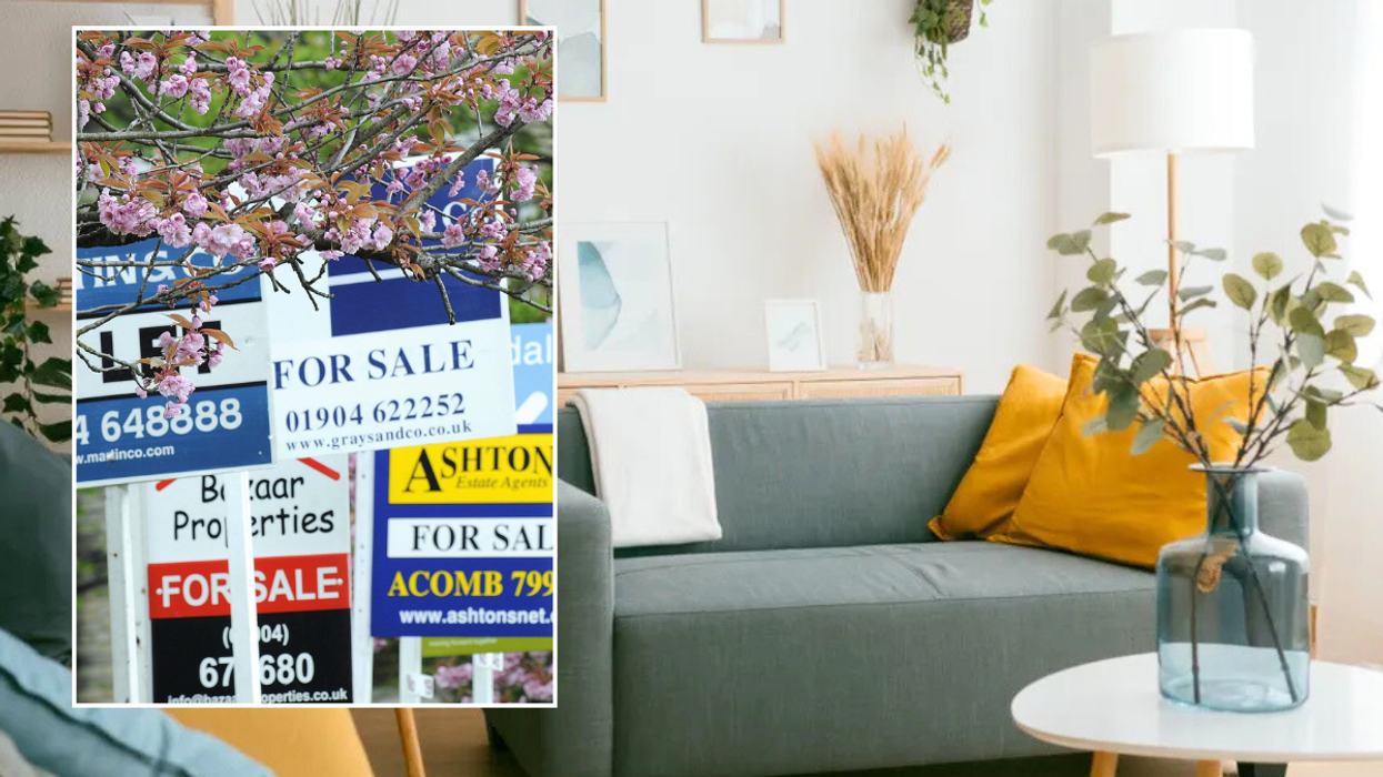 For sale signs / tidy living room with grey couch