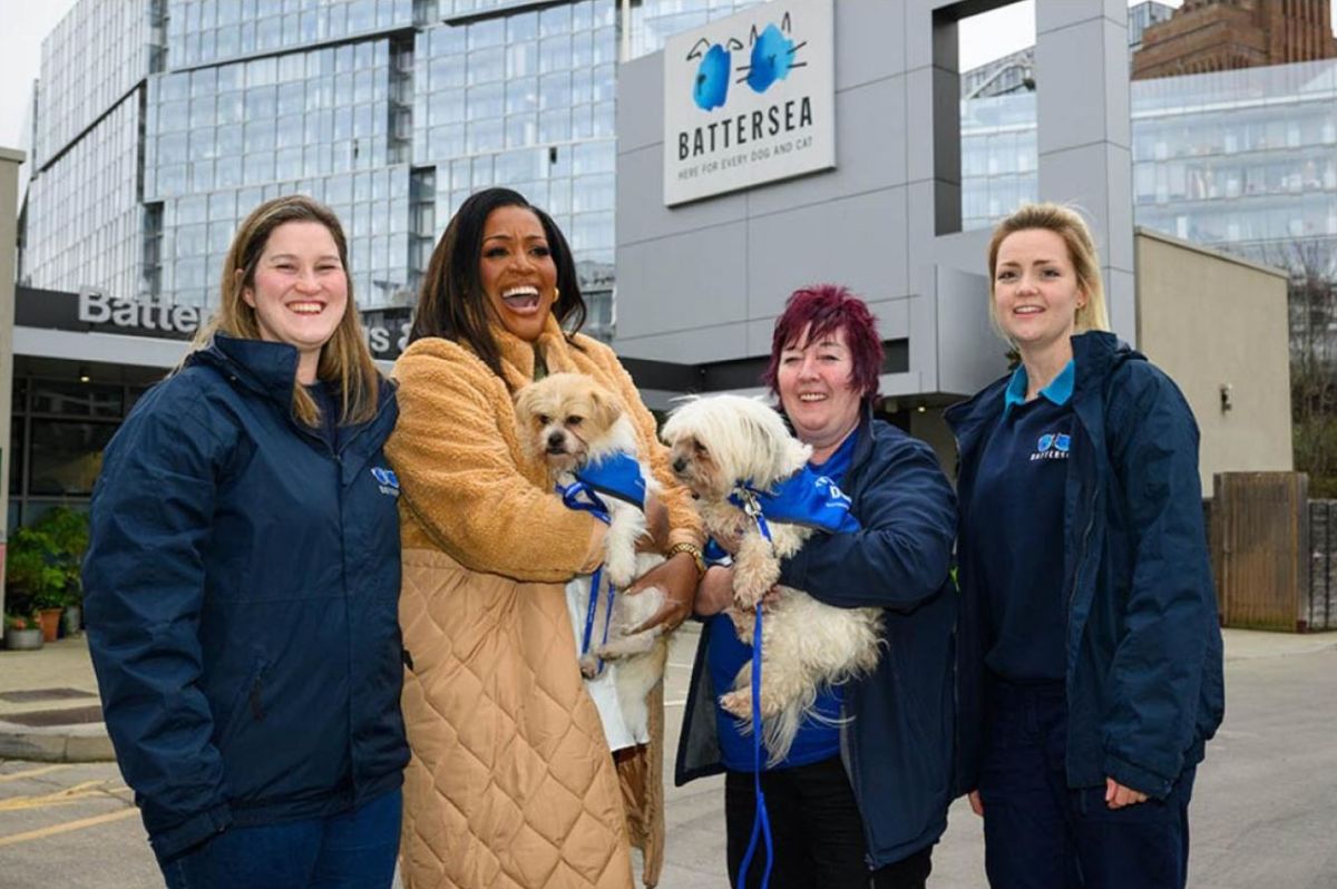 For the Love of Dogs: