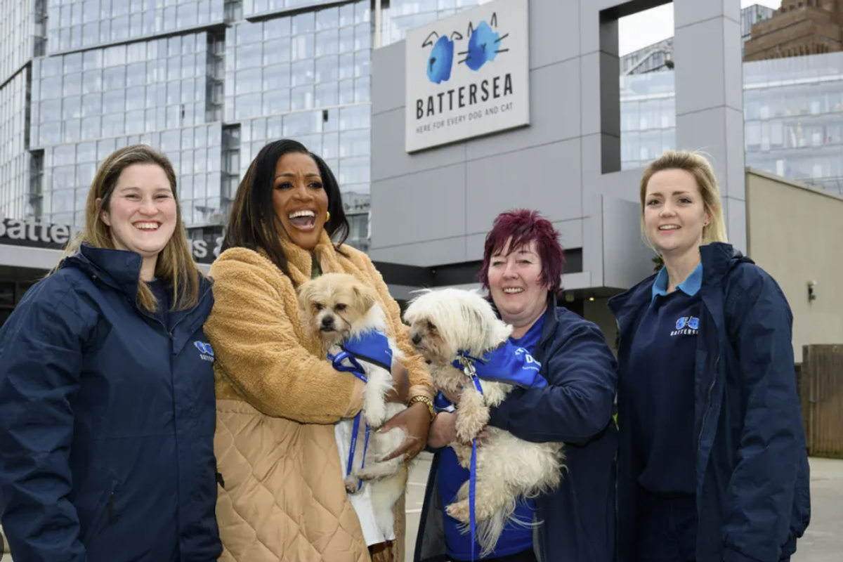 For The Love of Dogs