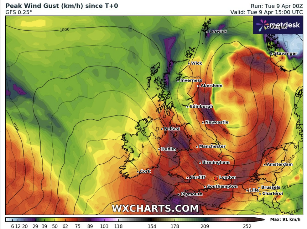 Forecast