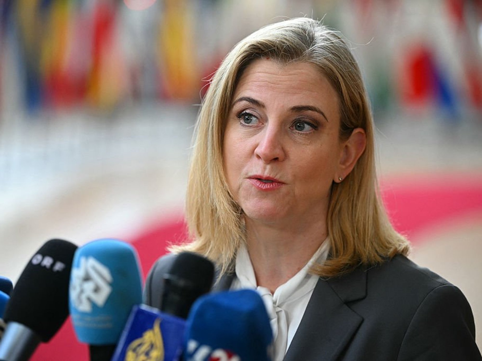 Foreign Minister Beate Meinl-Reisinger condemned the alleged activities in a statement.