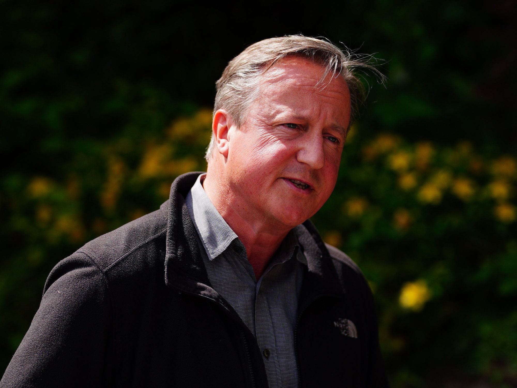 Foreign Secretary Lord David Cameron