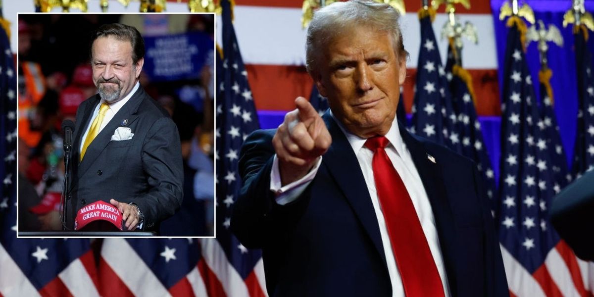 NextImg:Sebastian Gorka outlines why Donald Trump was destined for victory - 'The reason for Tuesday night is legion'