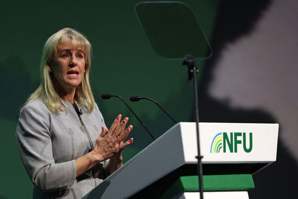 Former \u200bNational Farmers' Union (NFU) President Minette Batters