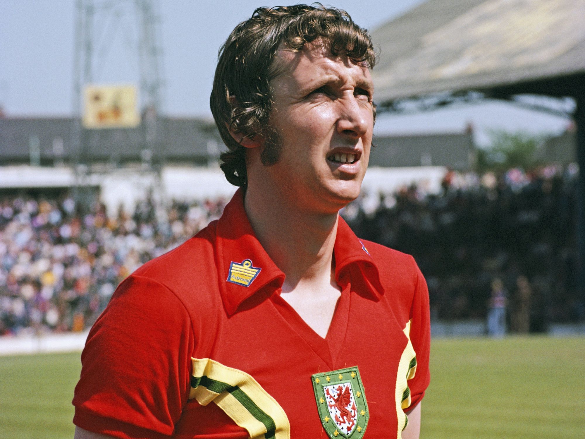 Former Welsh international Rod Thomas