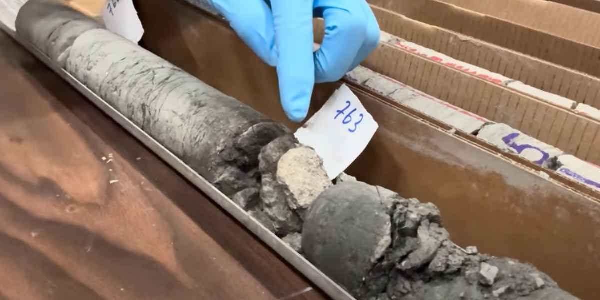 NextImg:Dinosaur museum discovers 70 million-year-old fossil underneath own car park