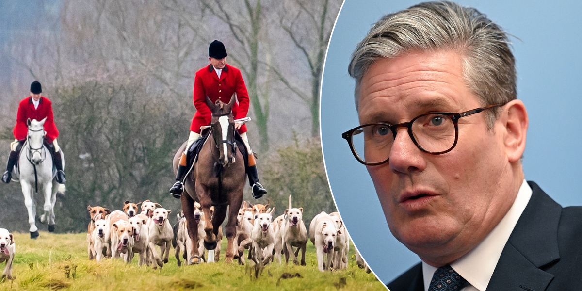NextImg:Eco-campaigners call on Starmer to end fox hunting loophole amid fears over 'ugly culture war'