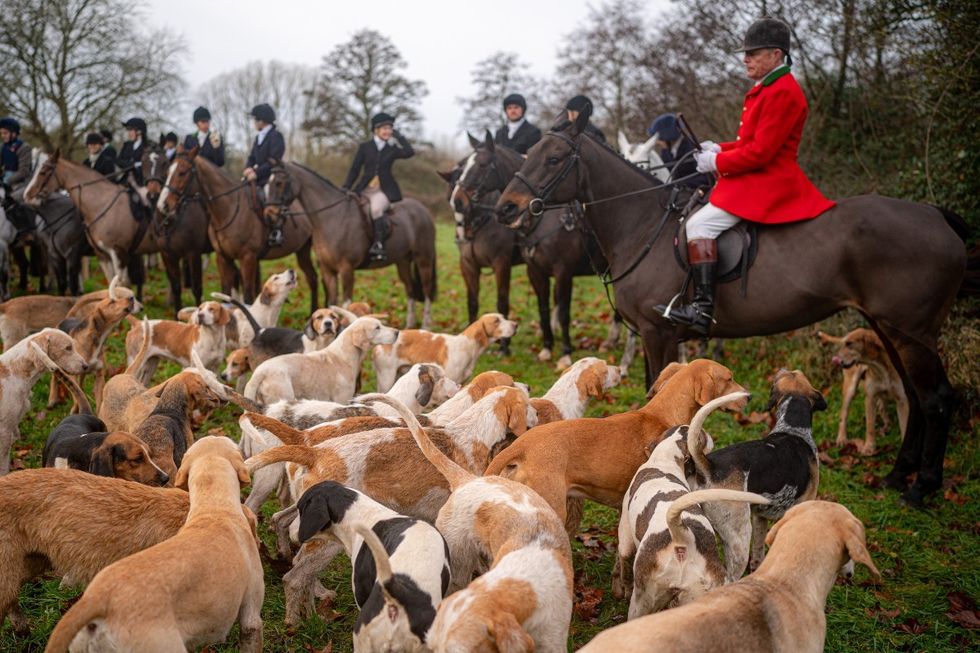 Fox hunting