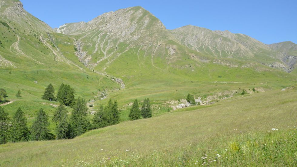 France alps