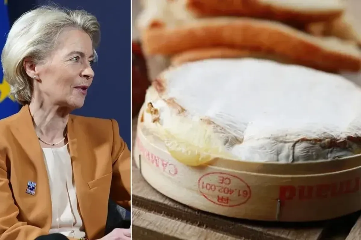 EU leaves France raging as traditional camembert under threat from new Brussels law