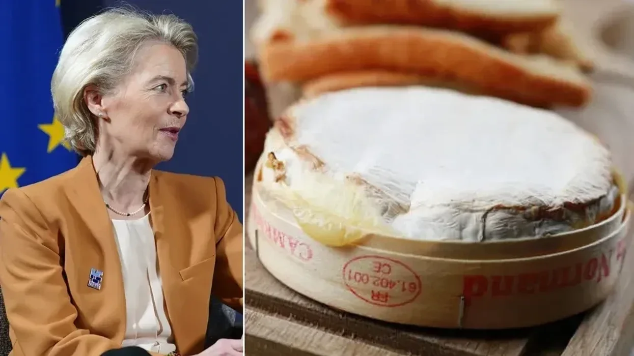EU leaves France raging as traditional camembert under threat from new Brussels law