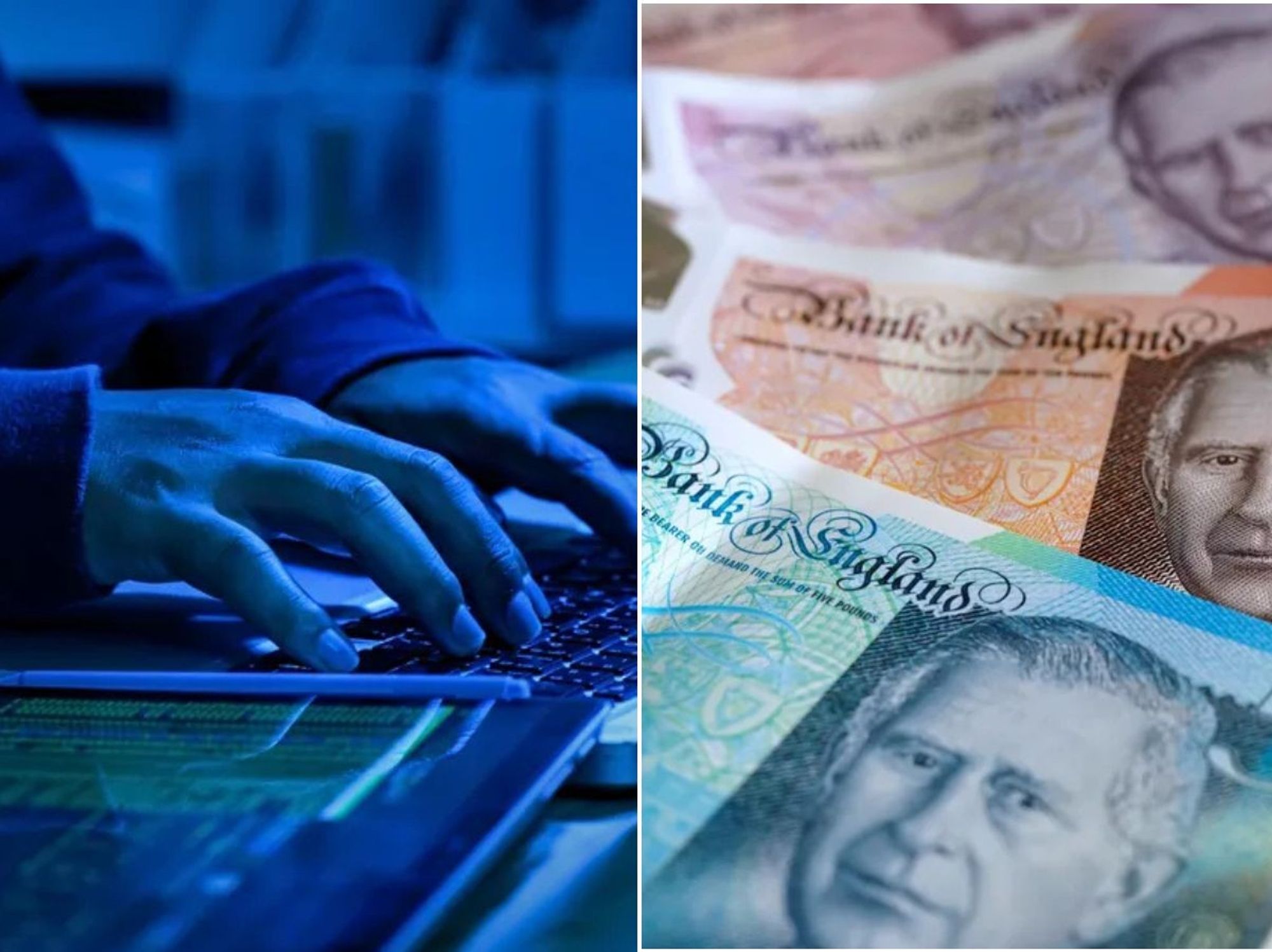 Fraudster and money