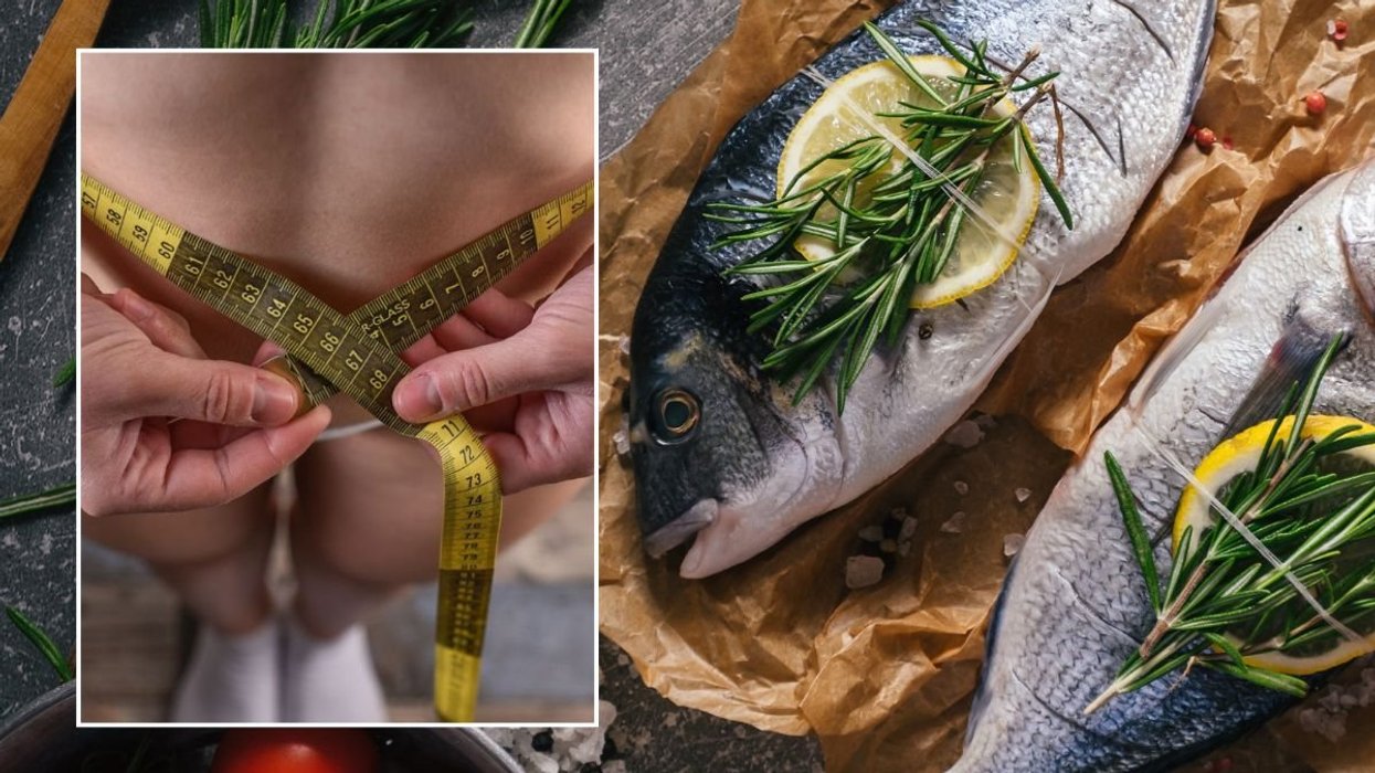 fresh fish and waist measurement