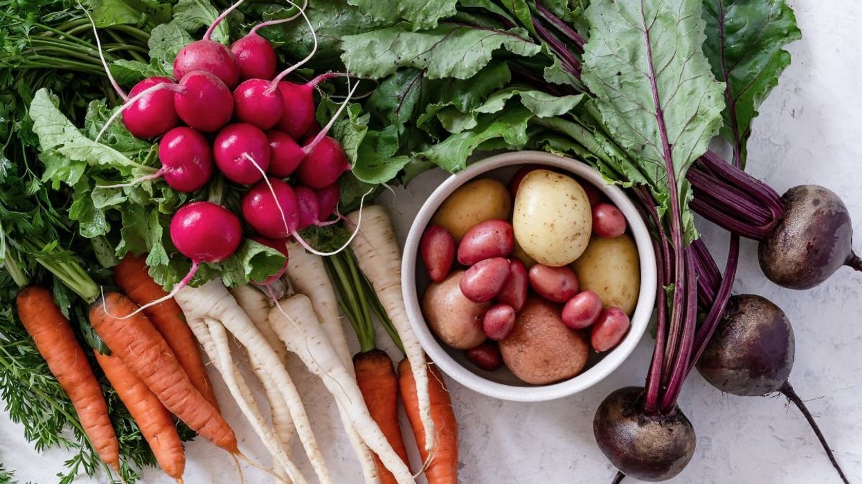 FRESH VEGETABLE SELECTION