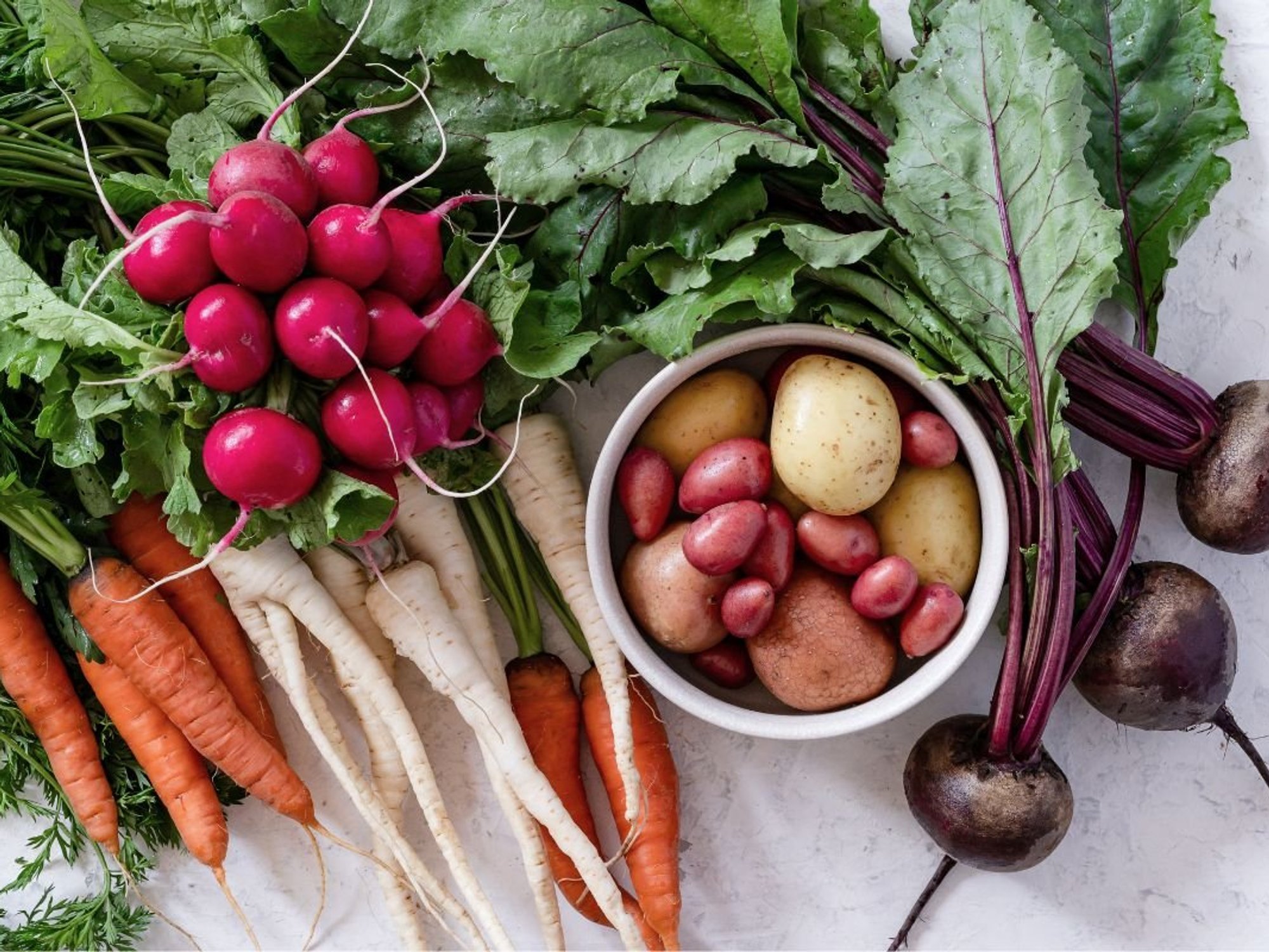 FRESH VEGETABLE SELECTION