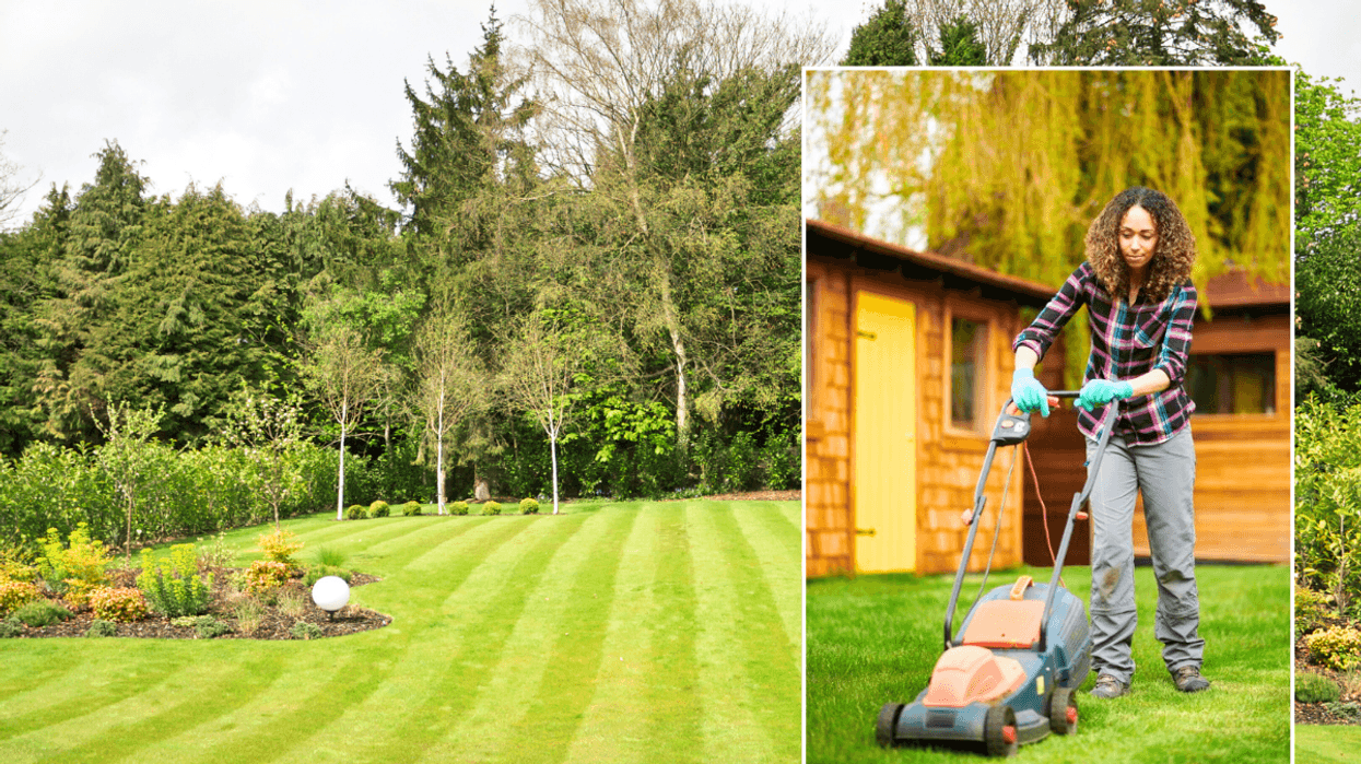 Freshly mown lawn / woman cutting grass