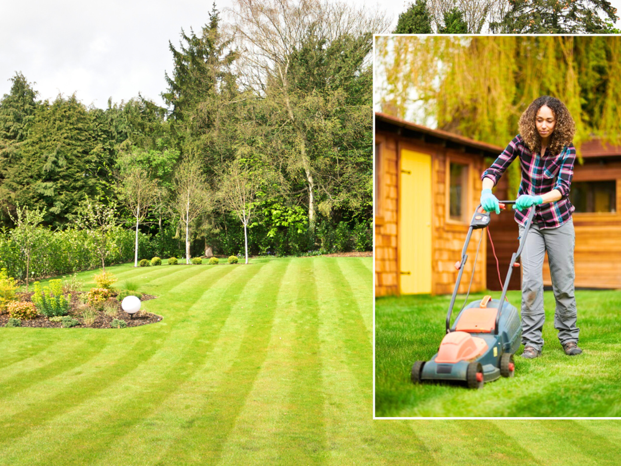 Freshly mown lawn / woman cutting grass