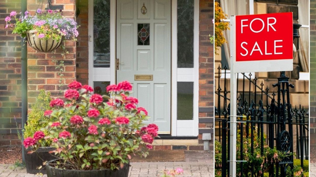 Front garden / For sale sign
