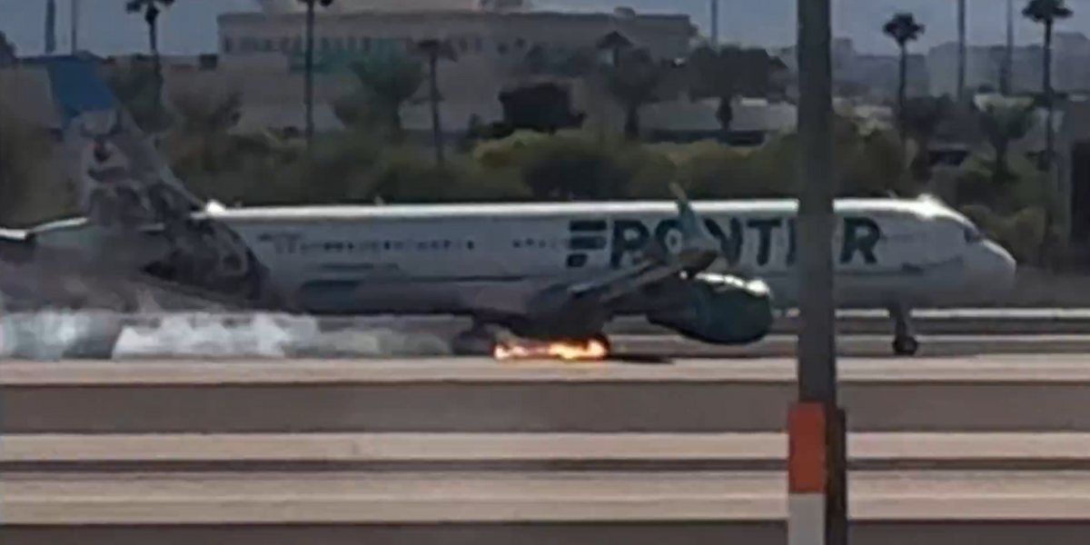 NextImg:Plane catches fire and bursts into FLAMES upon landing at major airport in terrifying footage