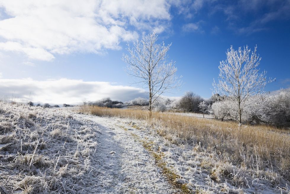 Frosty conditions in the UK