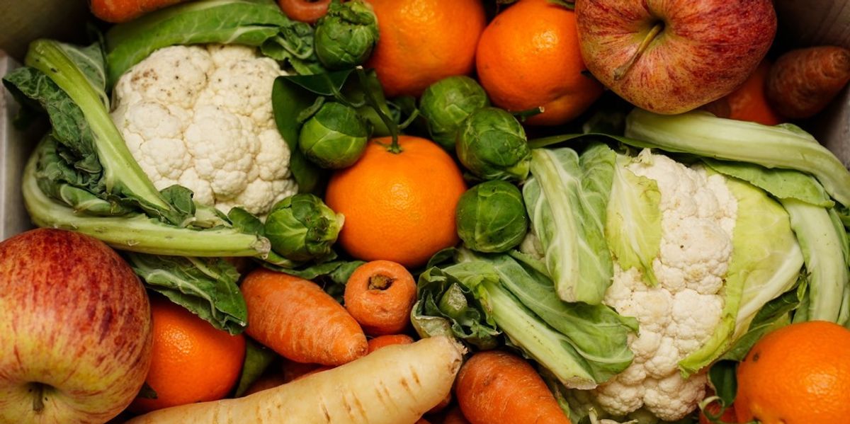 Council row erupts over vegan-only lunches which ‘do not promote sustainability’ Council row erupts over vegan-only lunches which ‘do not promote sustainability’