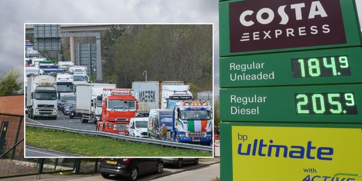 Fuel protests could take place on M25 and Dartford Crossing as police vow to ‘deal robustly’ with drivers Fuel protests could take place on M25 and Dartford Crossing as police vow to ‘deal robustly’ with drivers