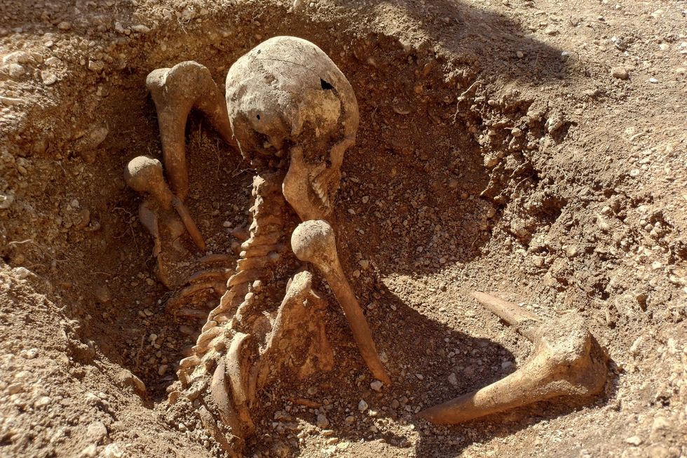 Gallic skeleton in dirt