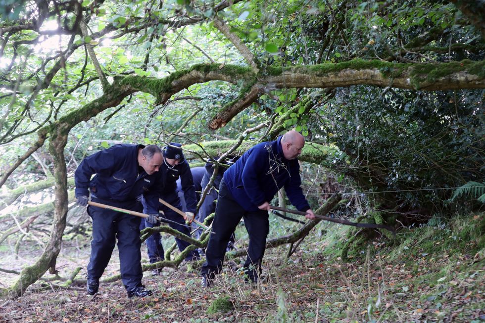 Gardai search a wooded area of Brewel East, on the Kildare/Wicklow border for the remains of Deirdre Jacob who disappeared over 20 years ago. Picture date: Monday October 11, 2021.