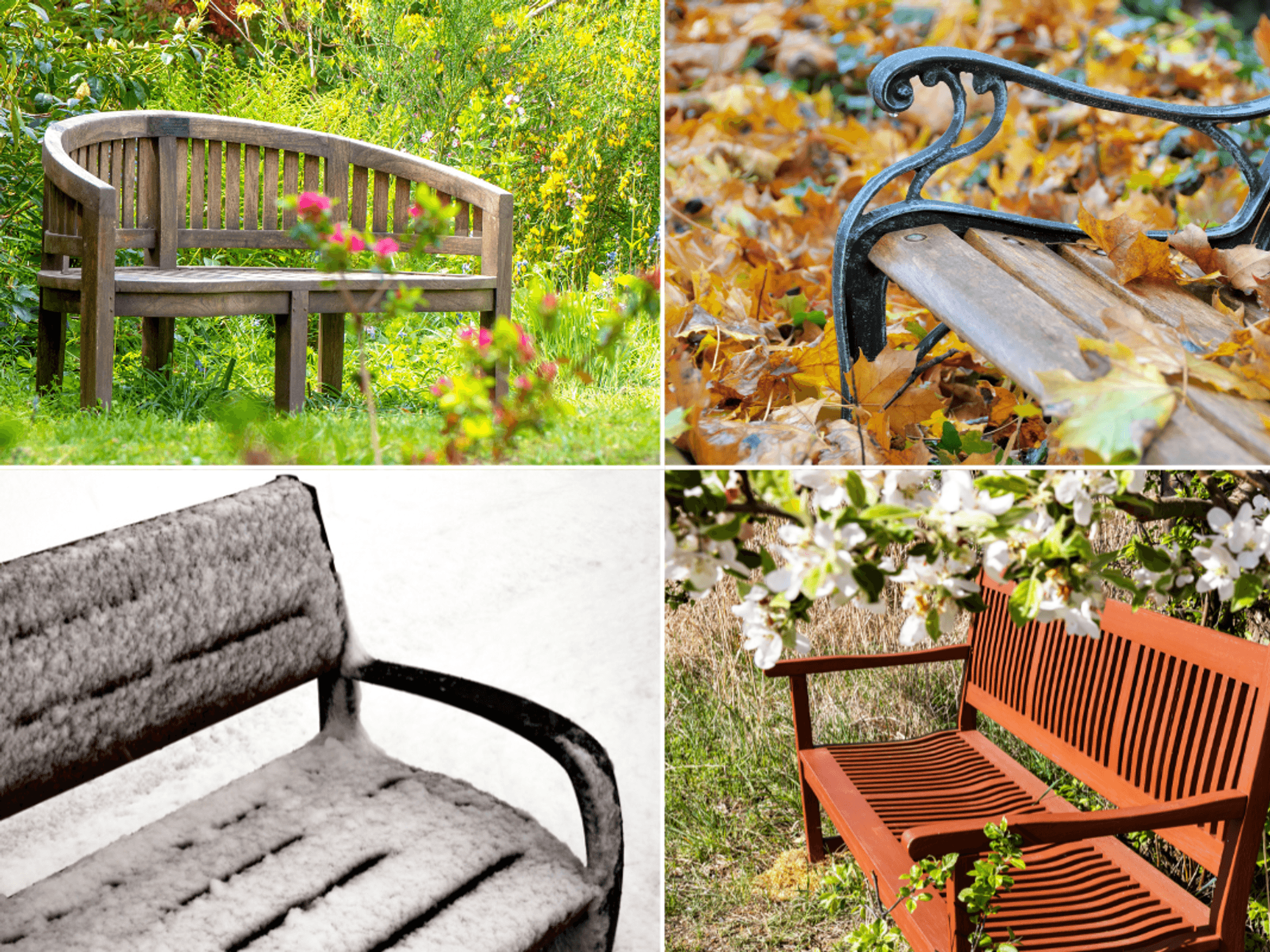 Garden benches in summer, autumn, winter and spring