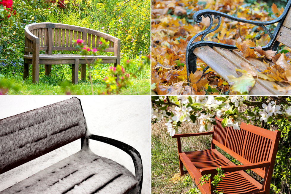 Garden benches in summer, autumn, winter and spring