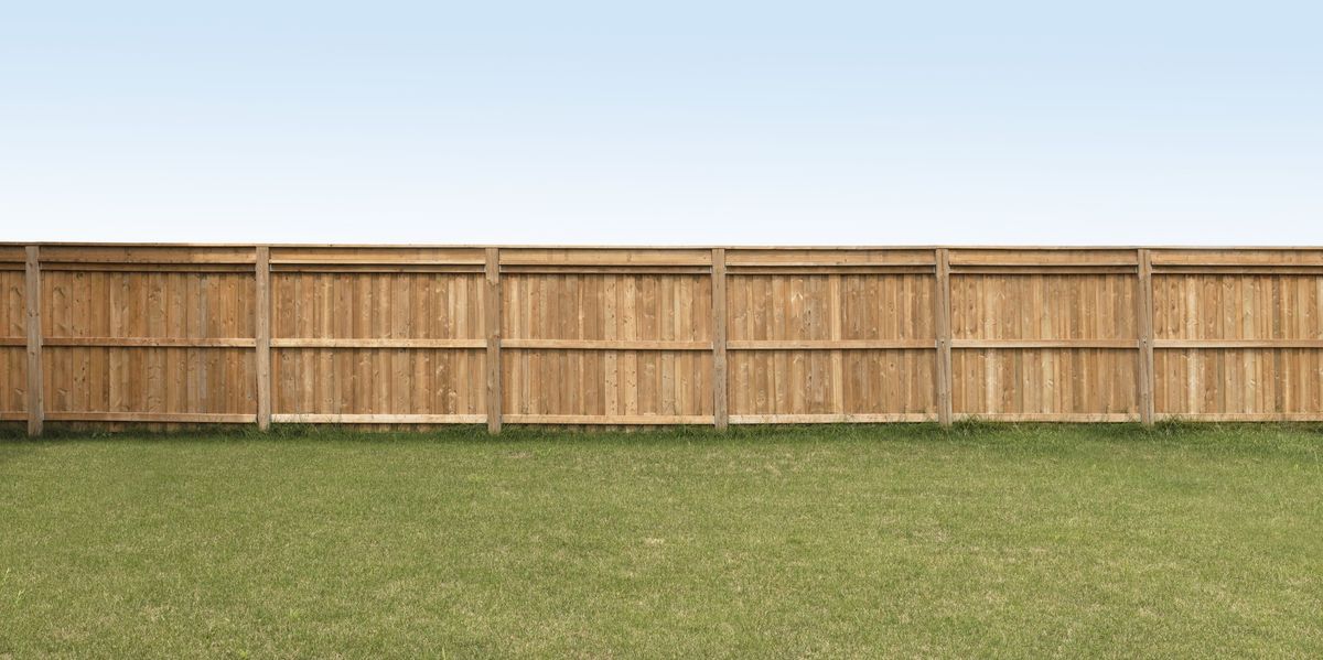 NextImg:Your garden walls and fences could be driving down property value, warns expert