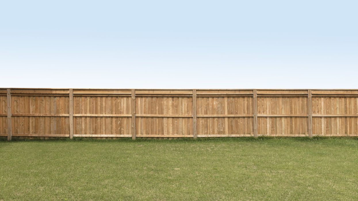 Garden fence