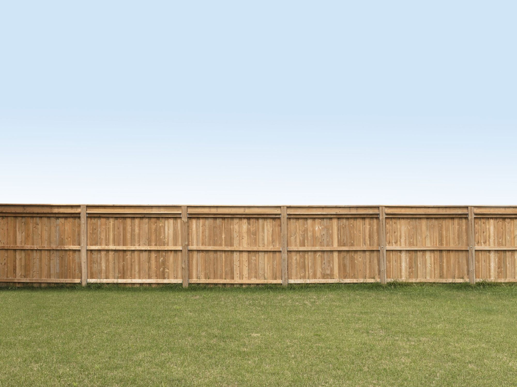 Garden fence