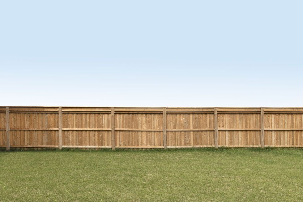 Garden fence