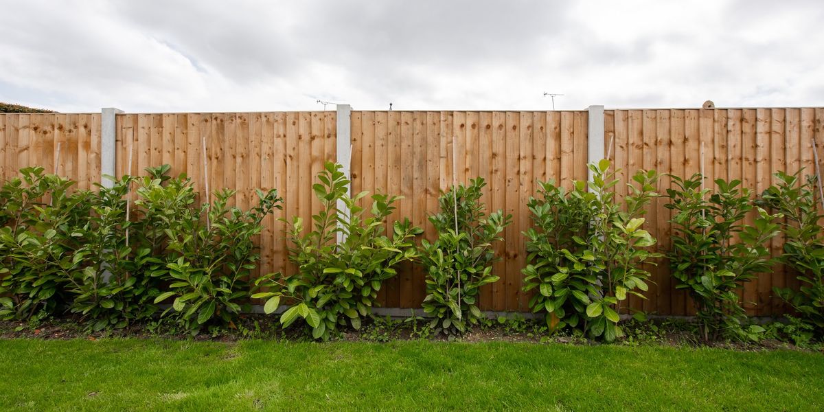 Neighbour from hell threatens to sue homeowner for wanting to paint garden fence while he threw BBQ