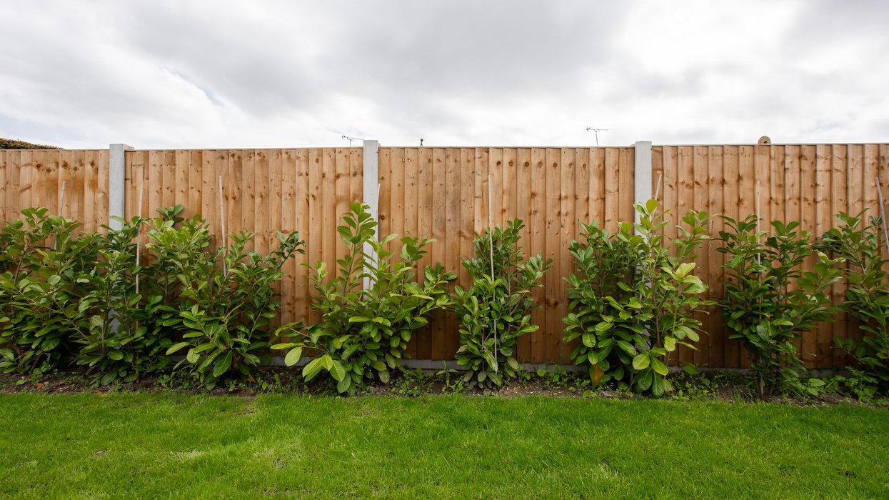 Garden fence
