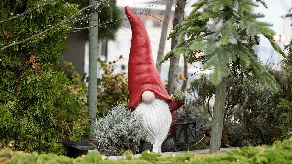 Garden gnome